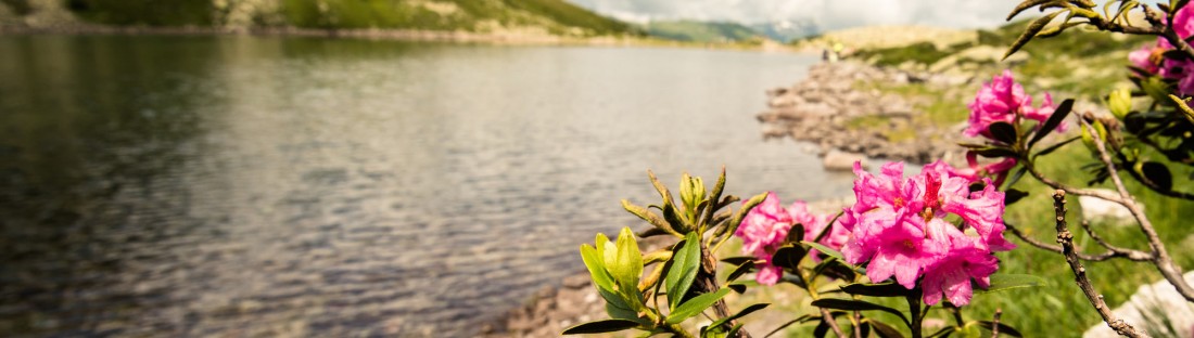 Palfnersee im Salzburger Land © Gasteinertal Tourismus