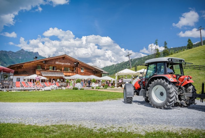 Unsere Wengeralm im Almgebiet von Dorfgastein, Salzburger Land